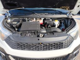 IVECO DAILY 35C15 3000 CC GRUPPO E CELLA FRIGO [RIF: 2525] pieno